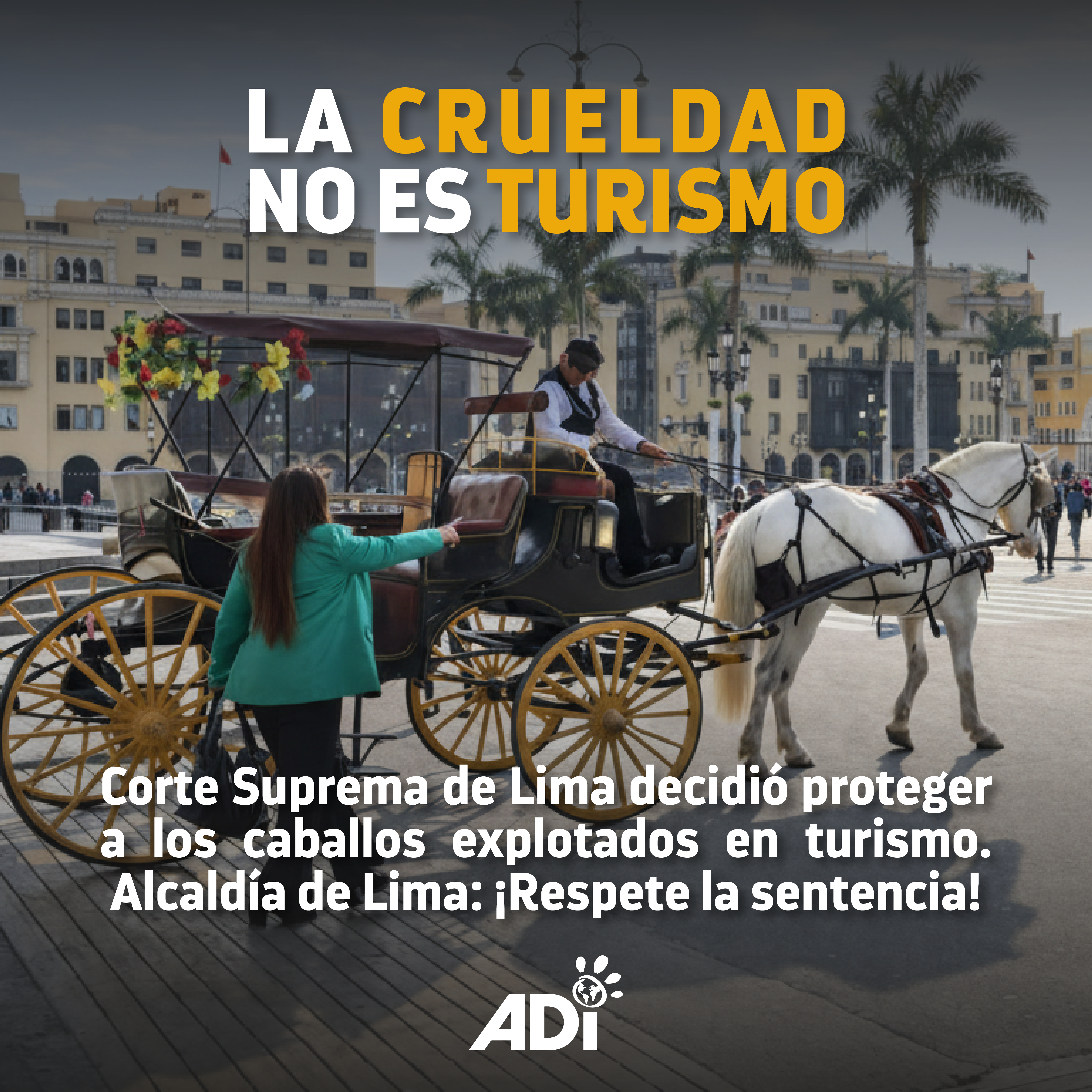 Coches halados por caballos prohibidos en Perú
