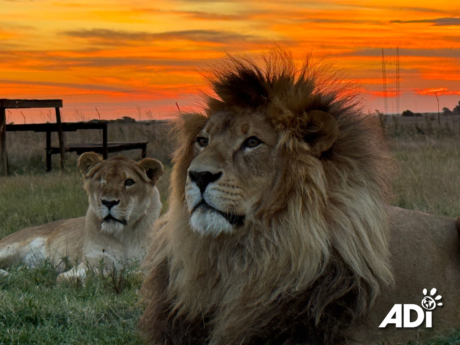 Mira lo que hemos logrado juntos 