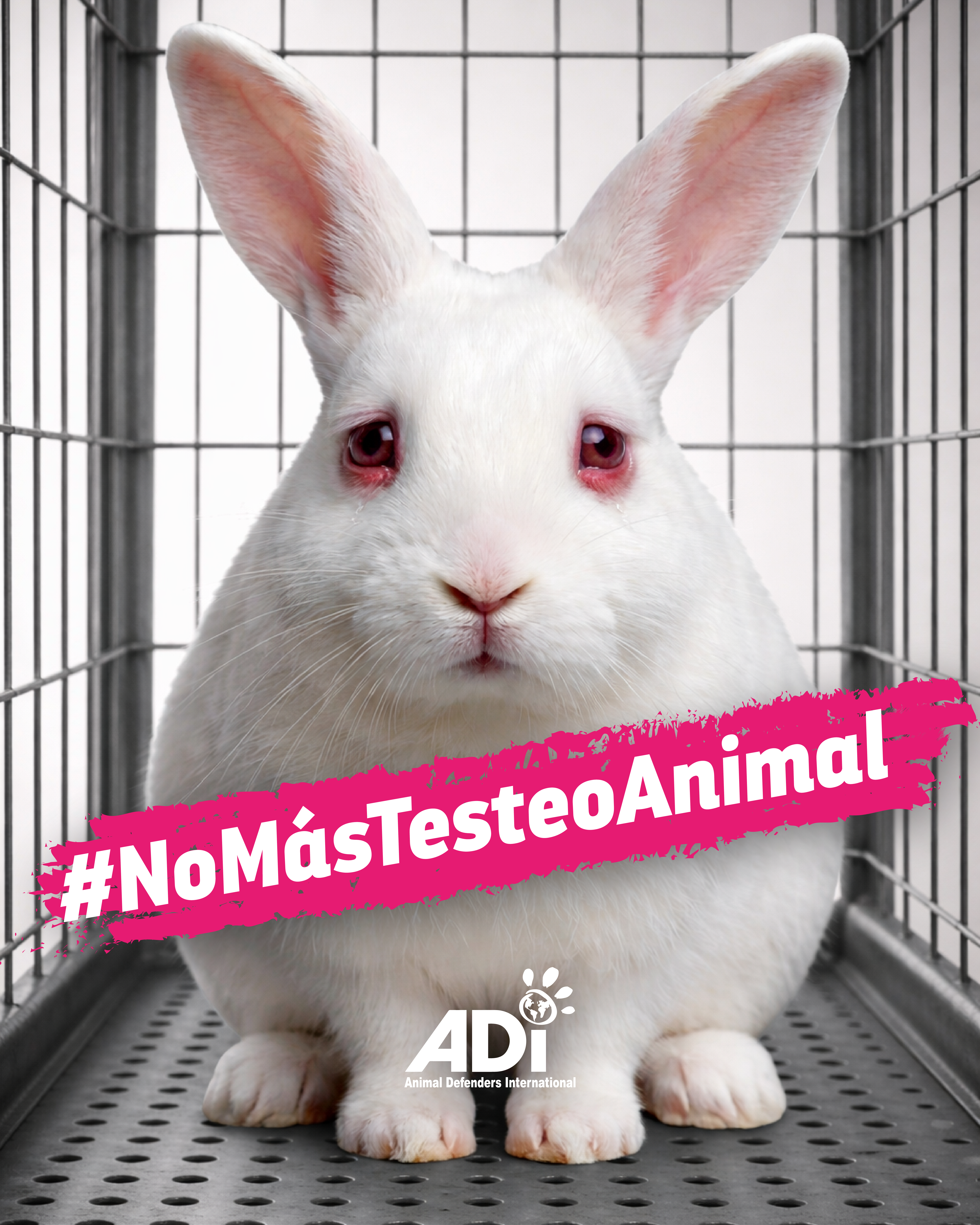 Hacia una ciencia sin experimentación animal en Colombia