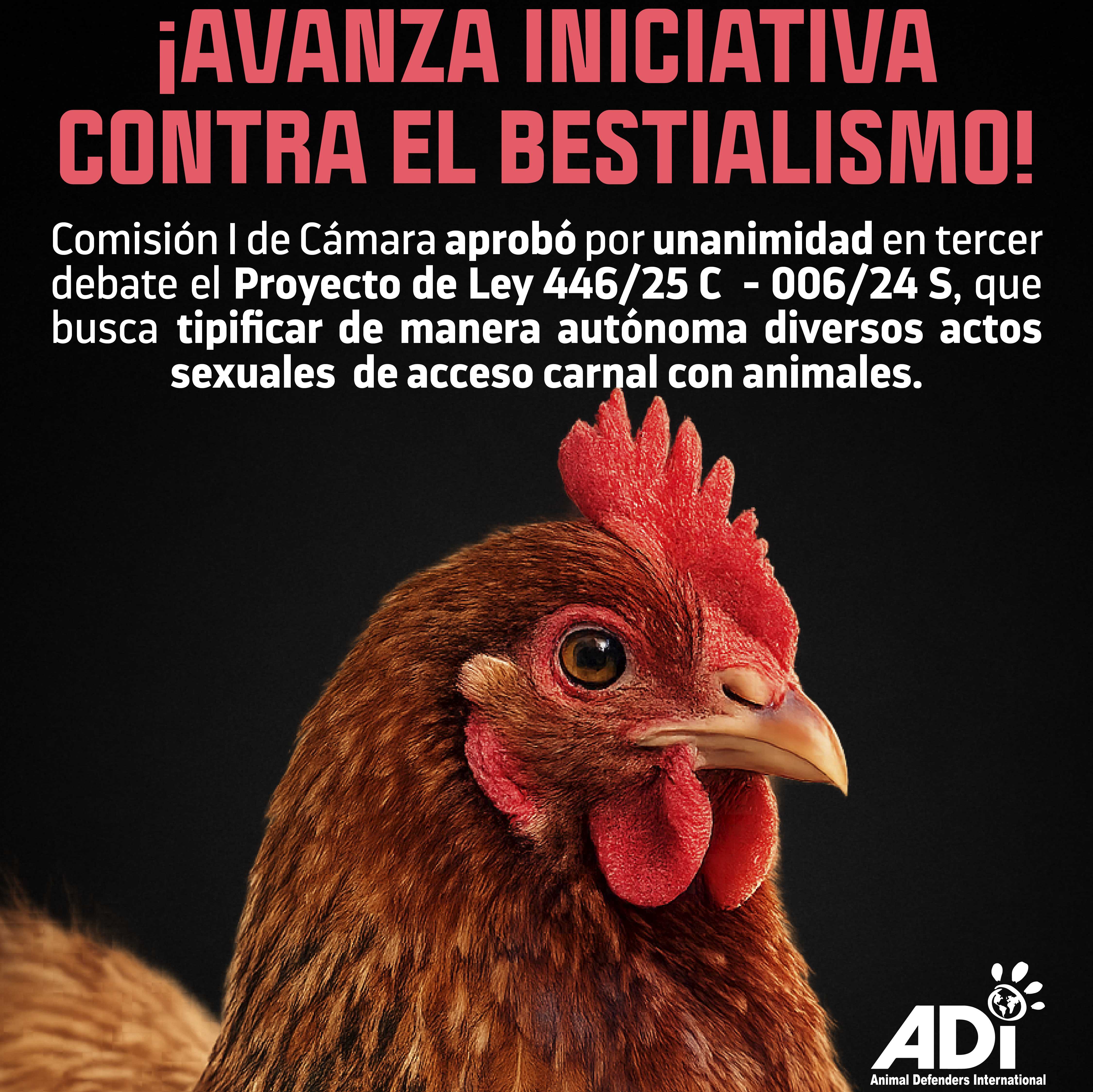 Colombia: bestialismo a un paso de ser delito